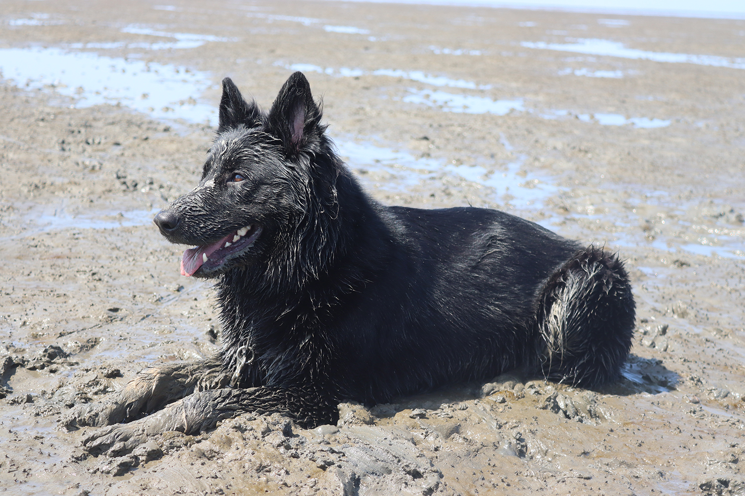 Urlaub an der Nordsee