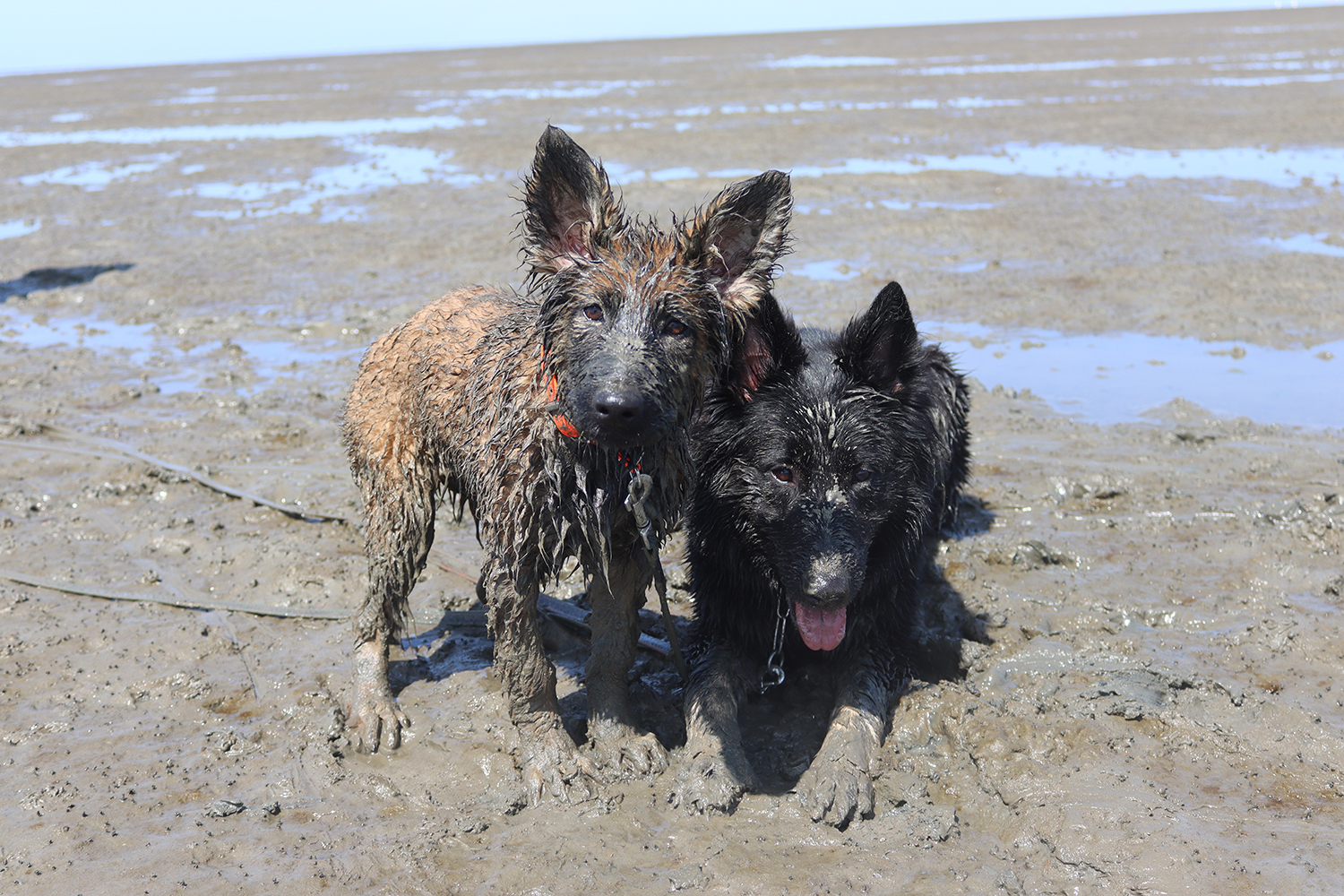 Urlaub an der Nordsee