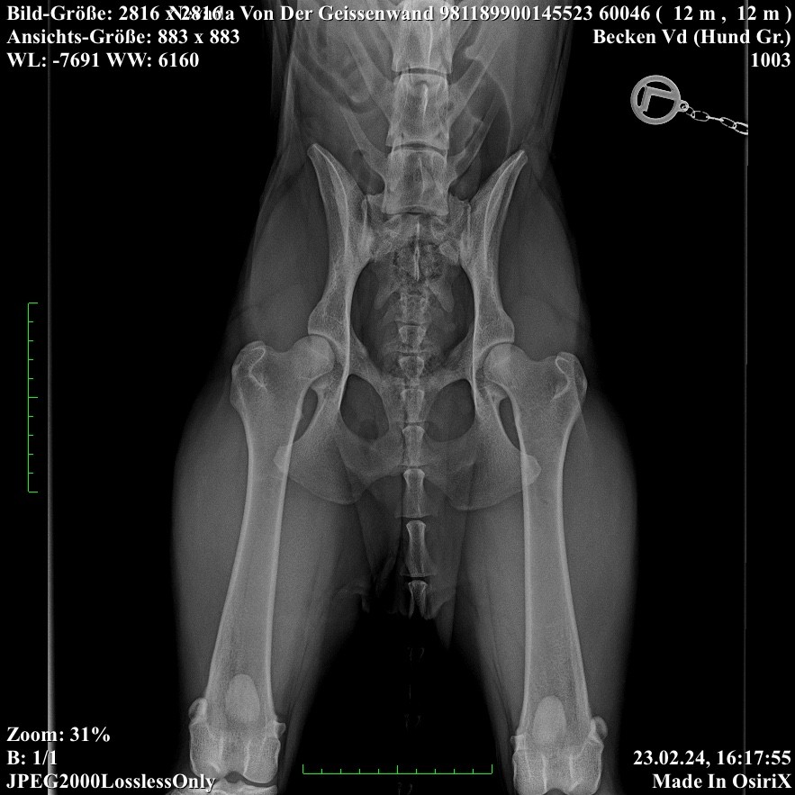 Röntgenaufnahme Nevada von der Geißenwand