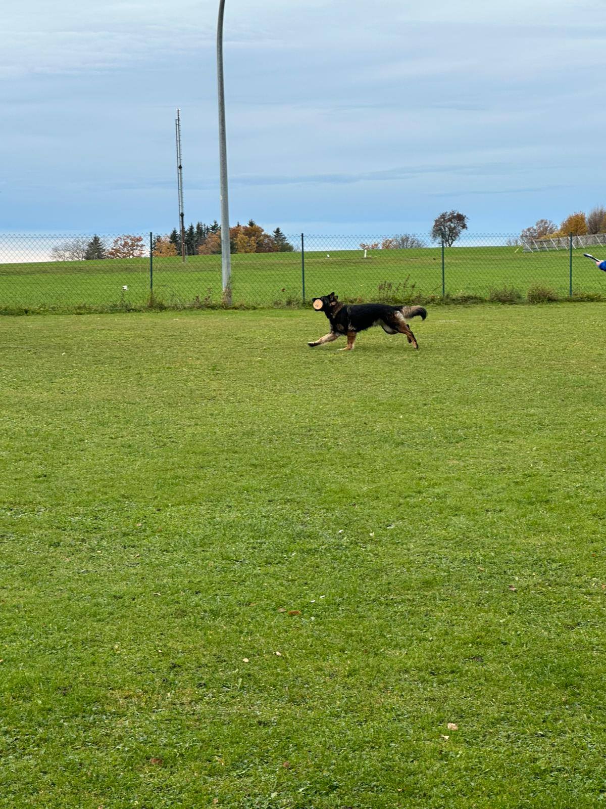 Herbstprüfung 2025 von Nevada und Alex