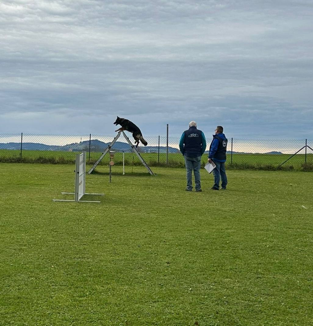 Herbstprüfung 2025 von Nevada und Alex