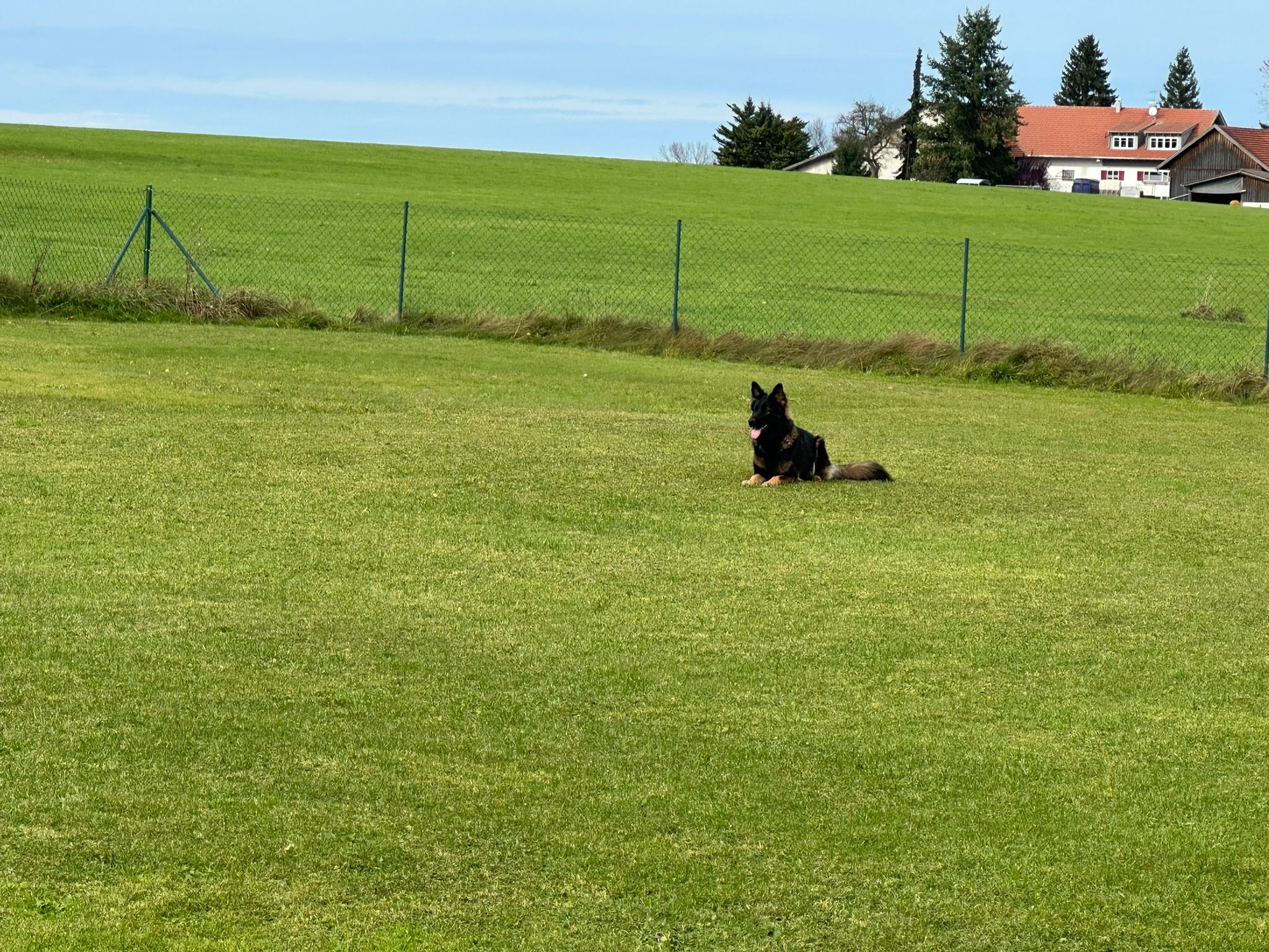 Herbstprüfung 2025 von Nevada und Alex