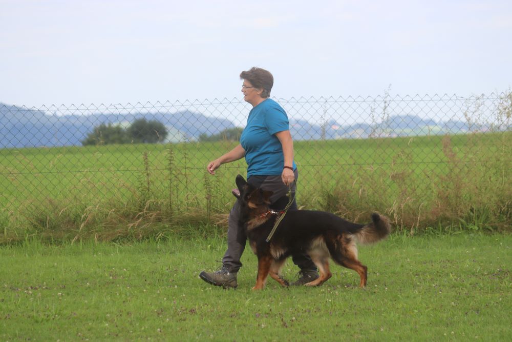 Interner Pokal 2024 des SGV Kempten-Nord