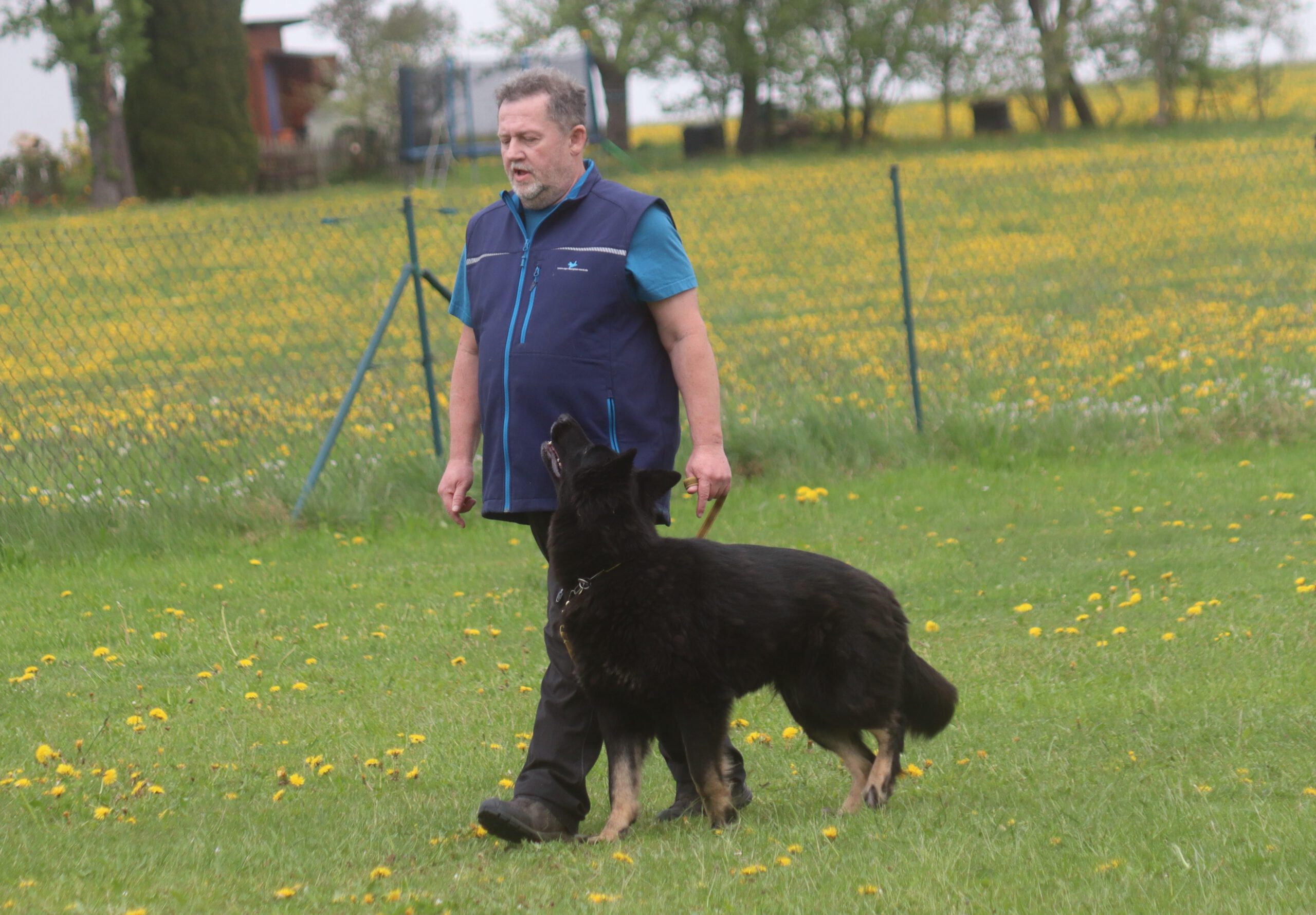 Kreisausscheidung IGBH auf heimischem Terrain