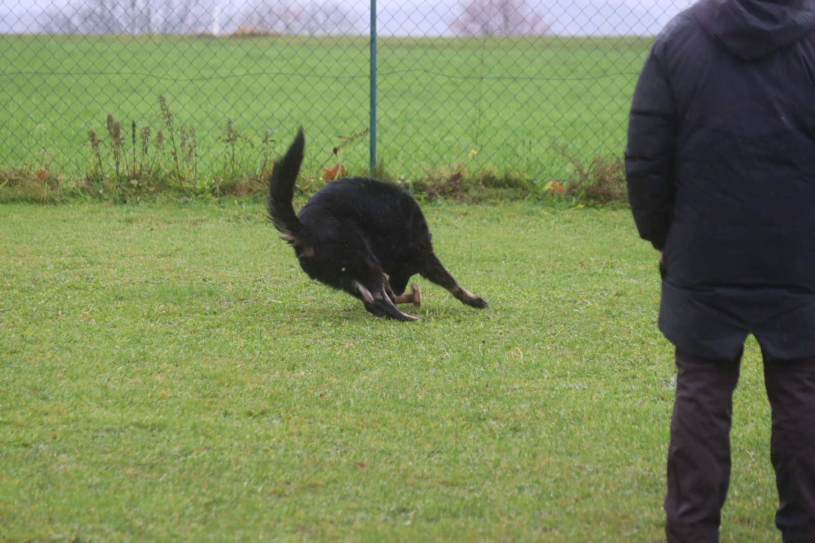 Herbstprüfung 2025 von Kiowa und Harald