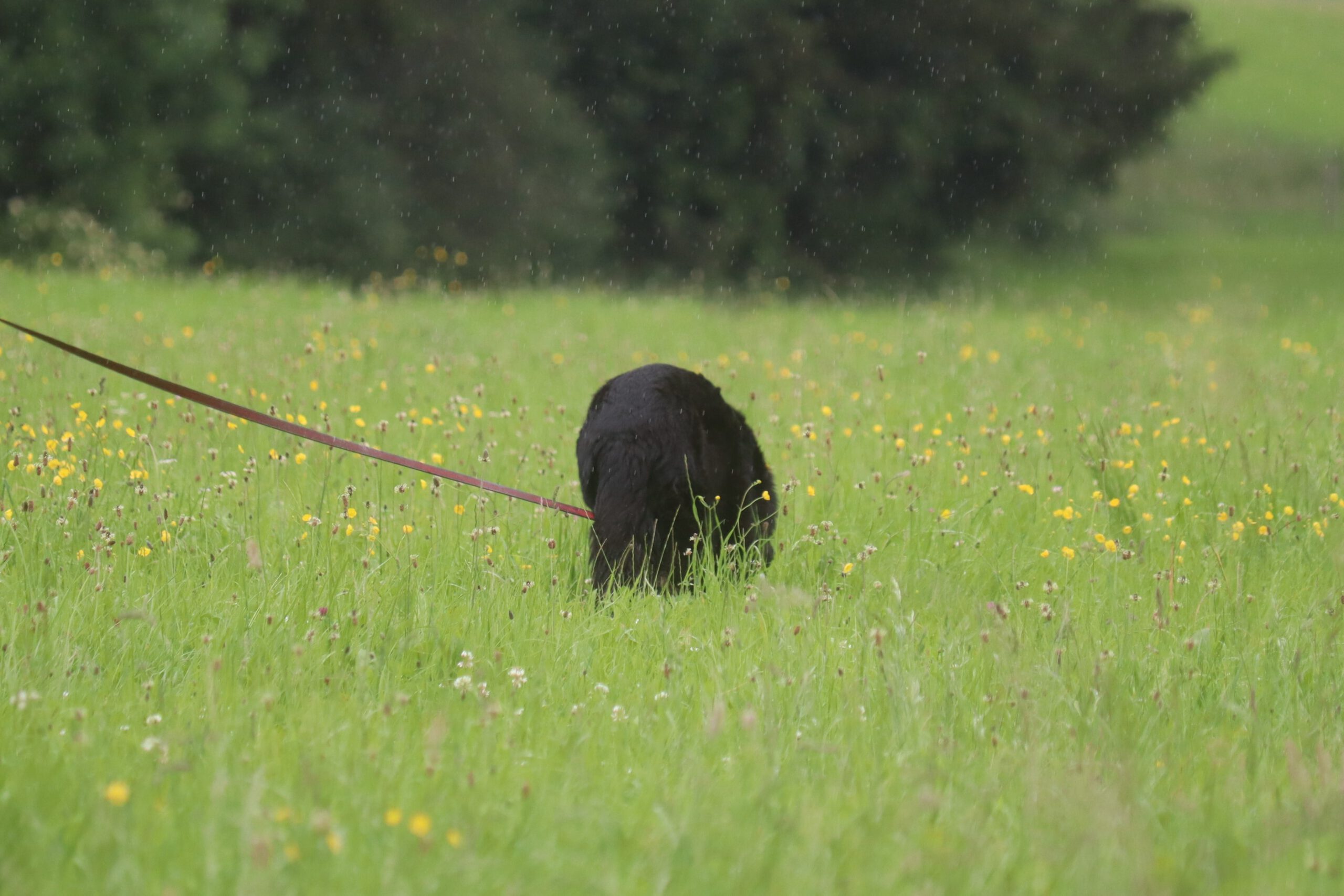 Frühjahrsprüfung 2024