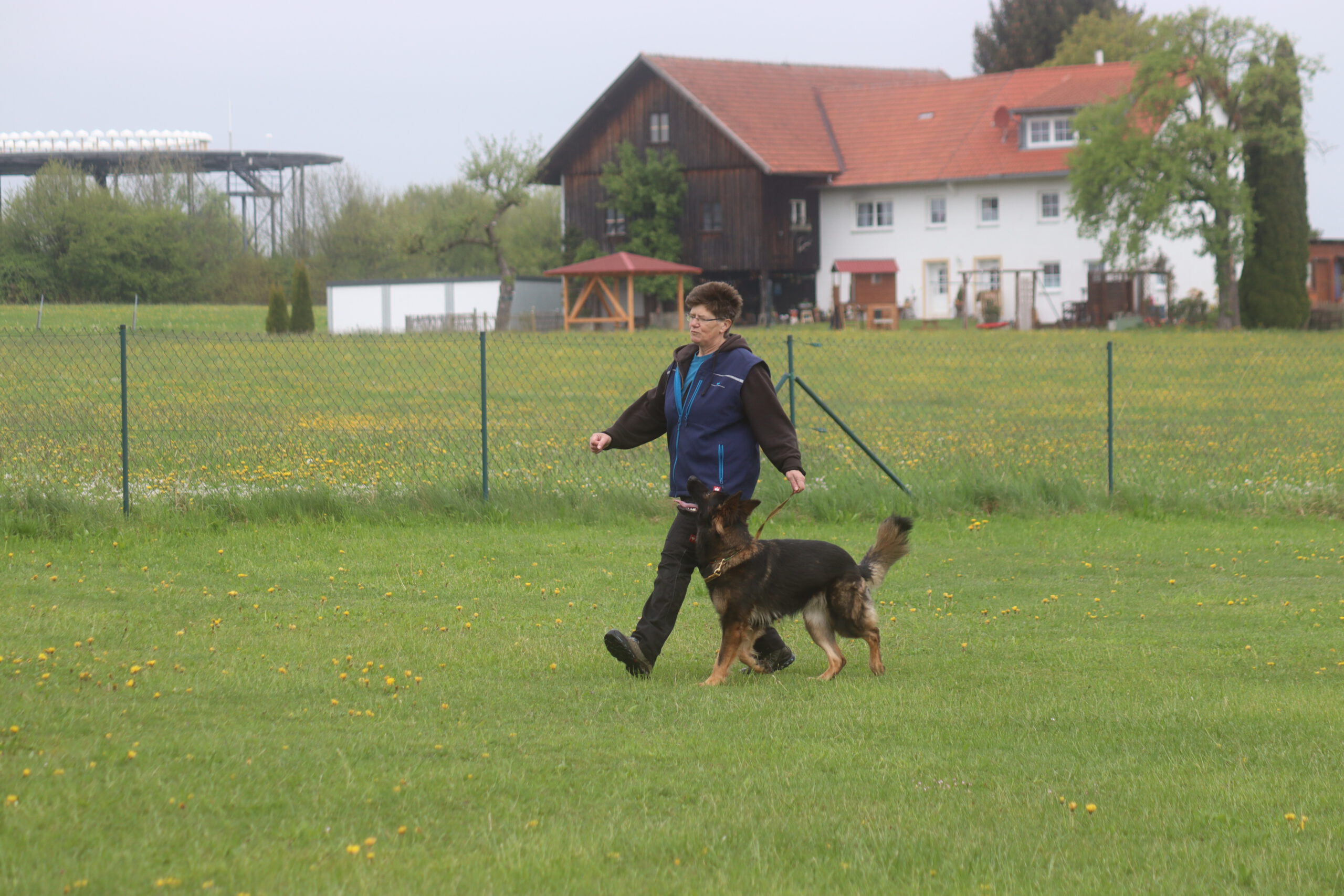 Kreisausscheidung IGBH auf heimischem Terrain