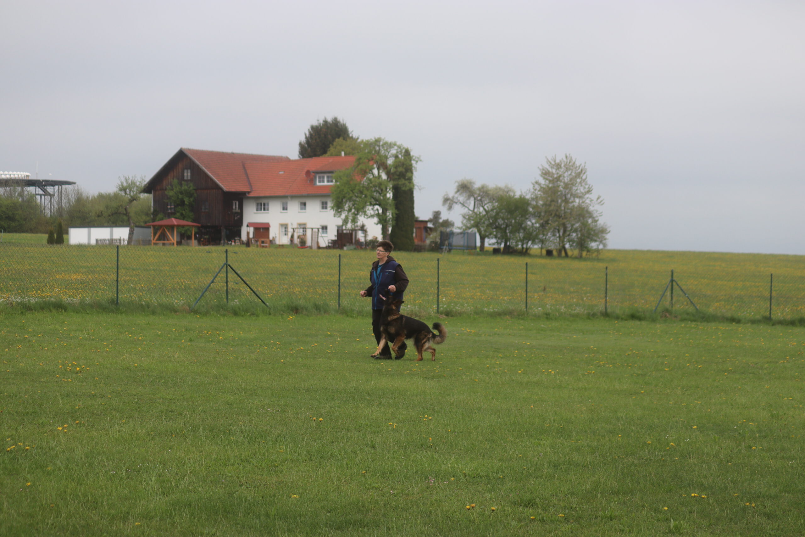 Kreisausscheidung IGBH auf heimischem Terrain