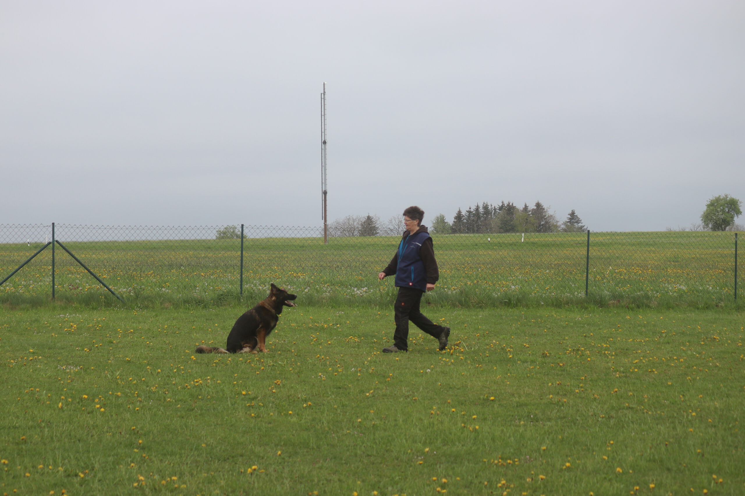 Kreisausscheidung IGBH auf heimischem Terrain