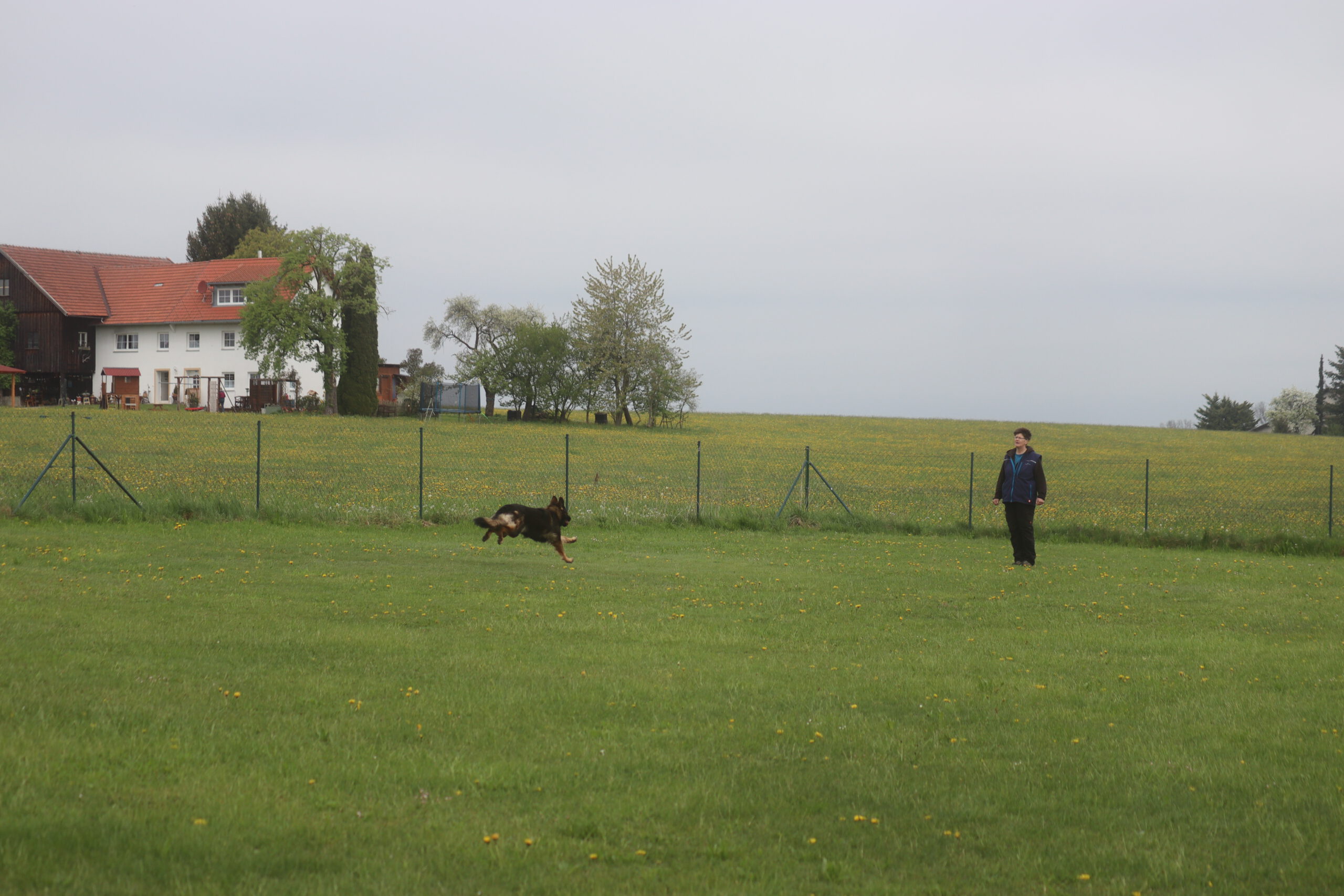 Kreisausscheidung IGBH auf heimischem Terrain
