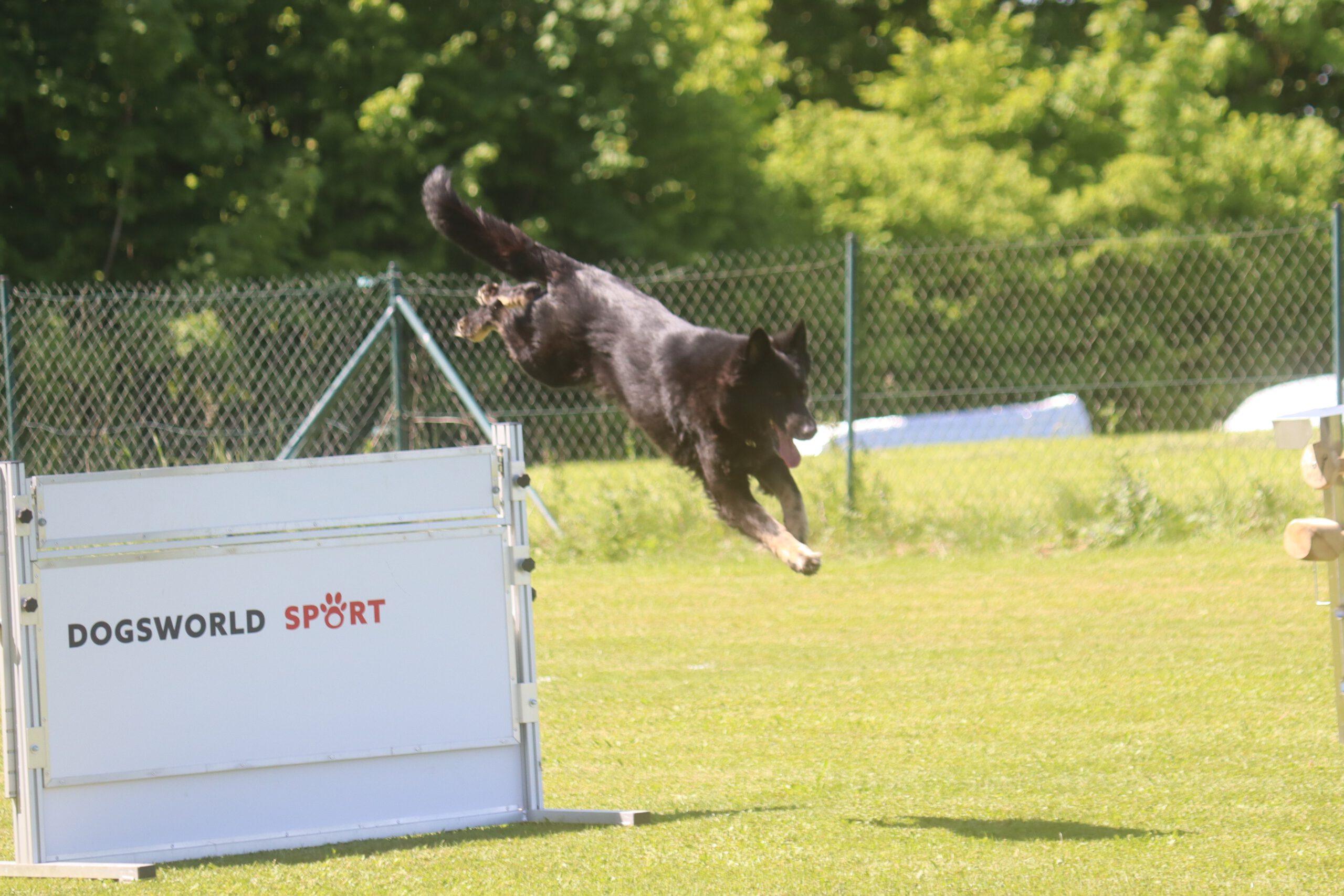 Frühjahrsprüfung des SGV Kempten-Nord 2025