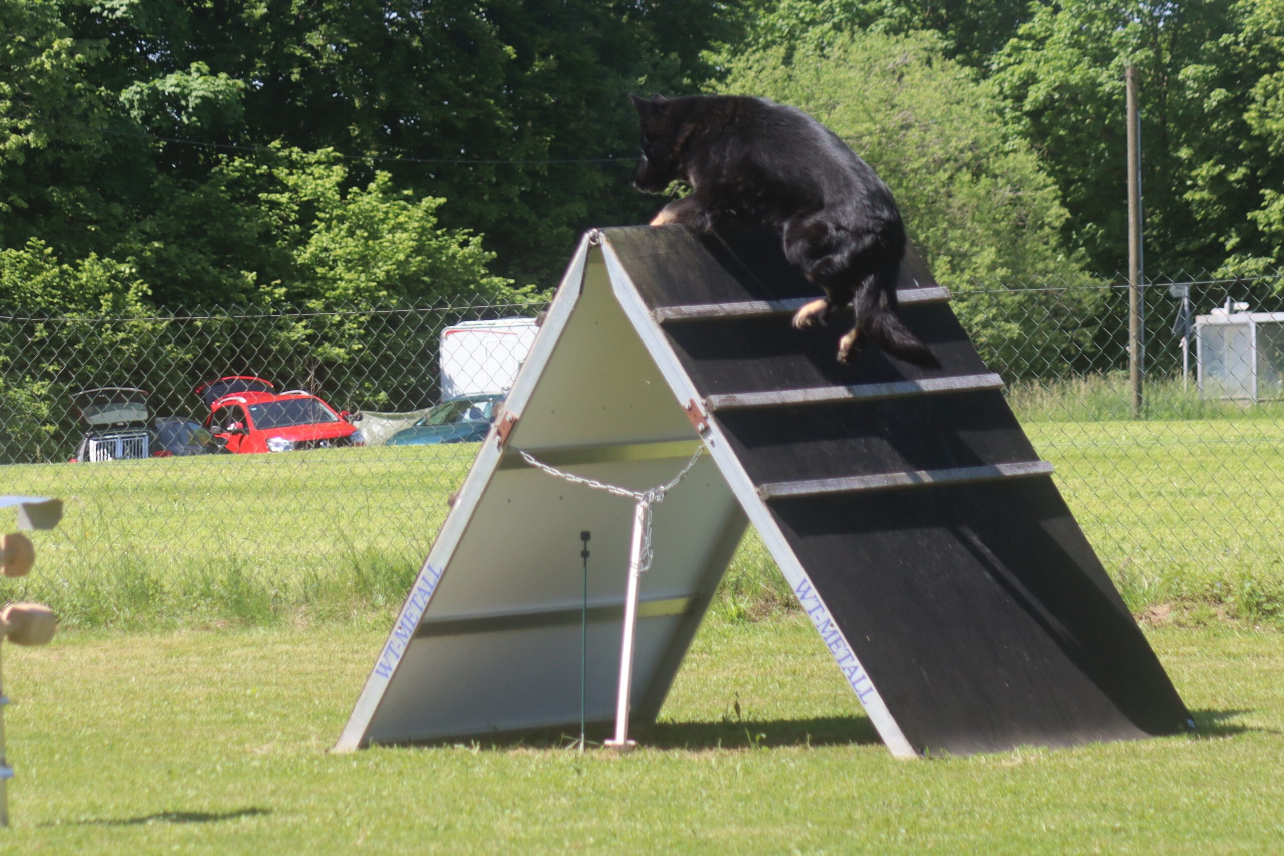 Frühjahrsprüfung des SGV Kempten-Nord 2025