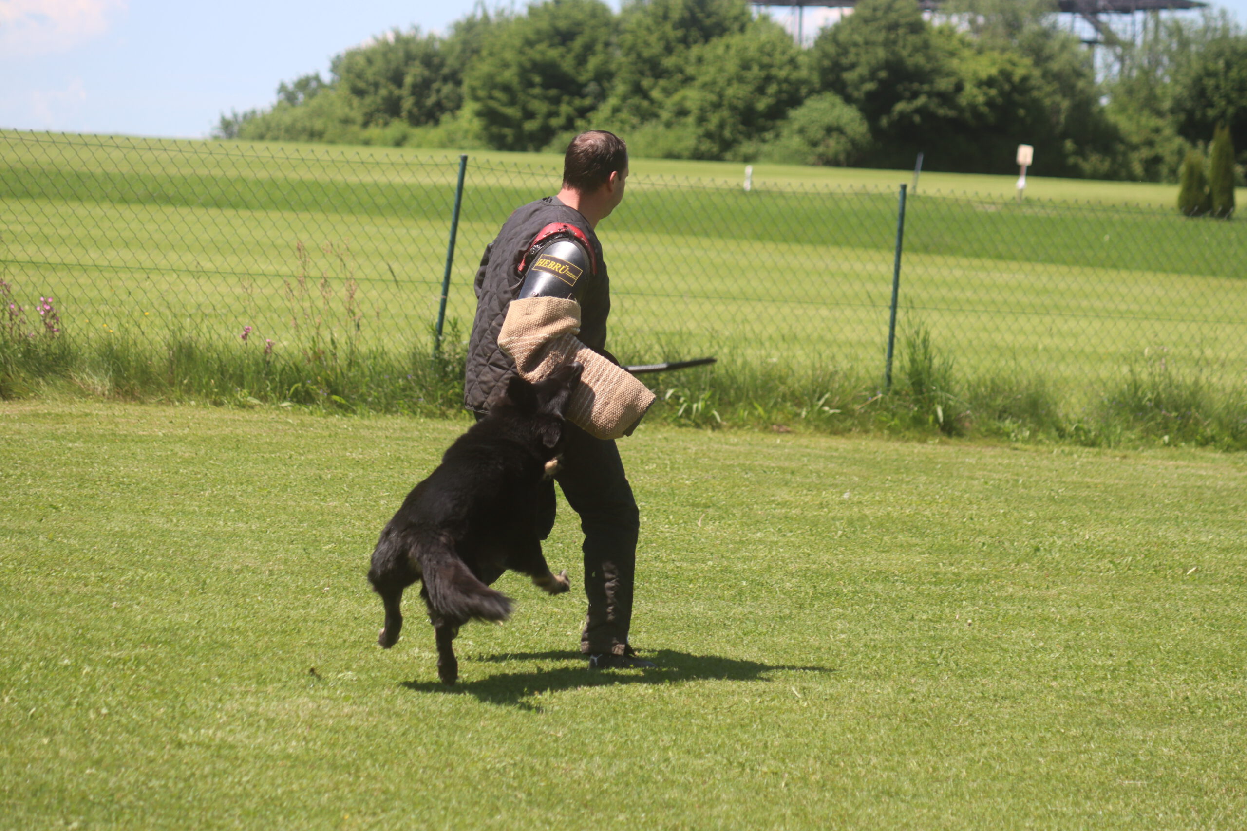 Frühjahrsprüfung des SGV Kempten-Nord 2025