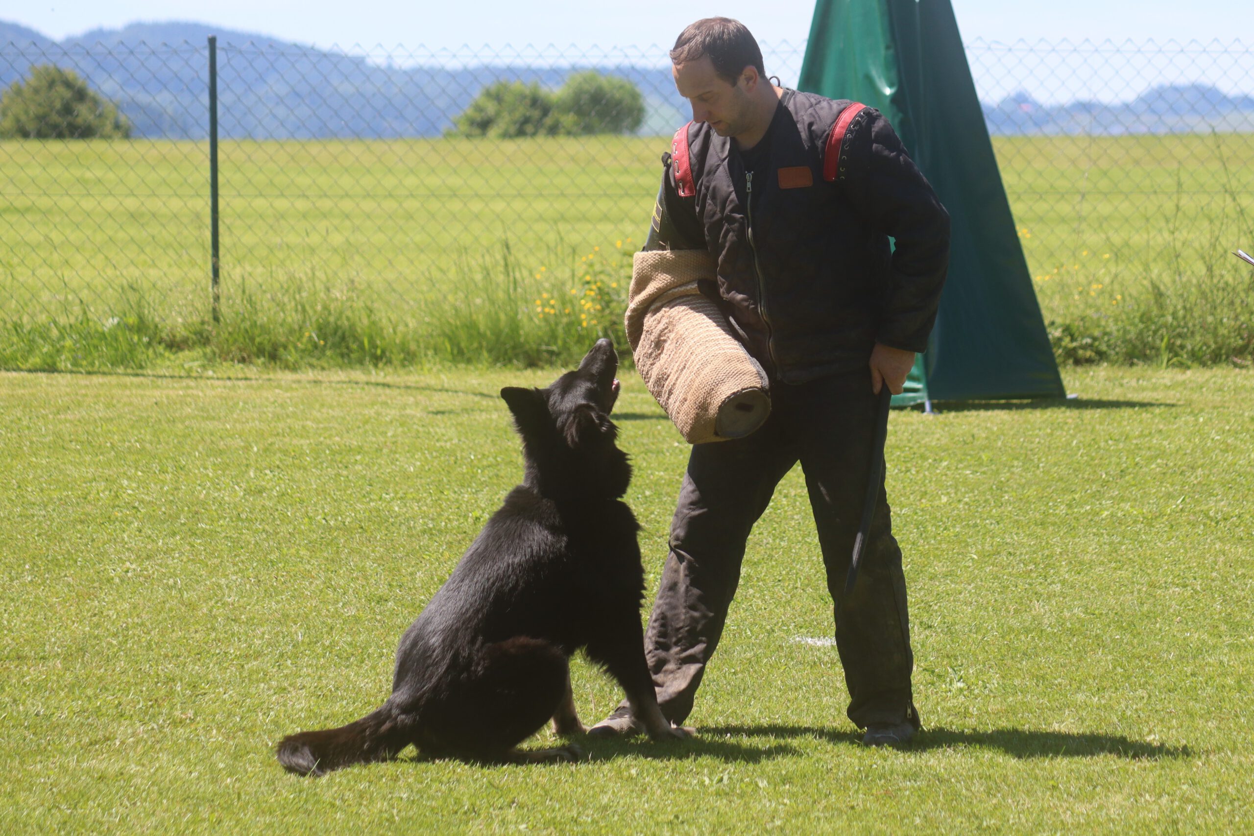 Frühjahrsprüfung des SGV Kempten-Nord 2025