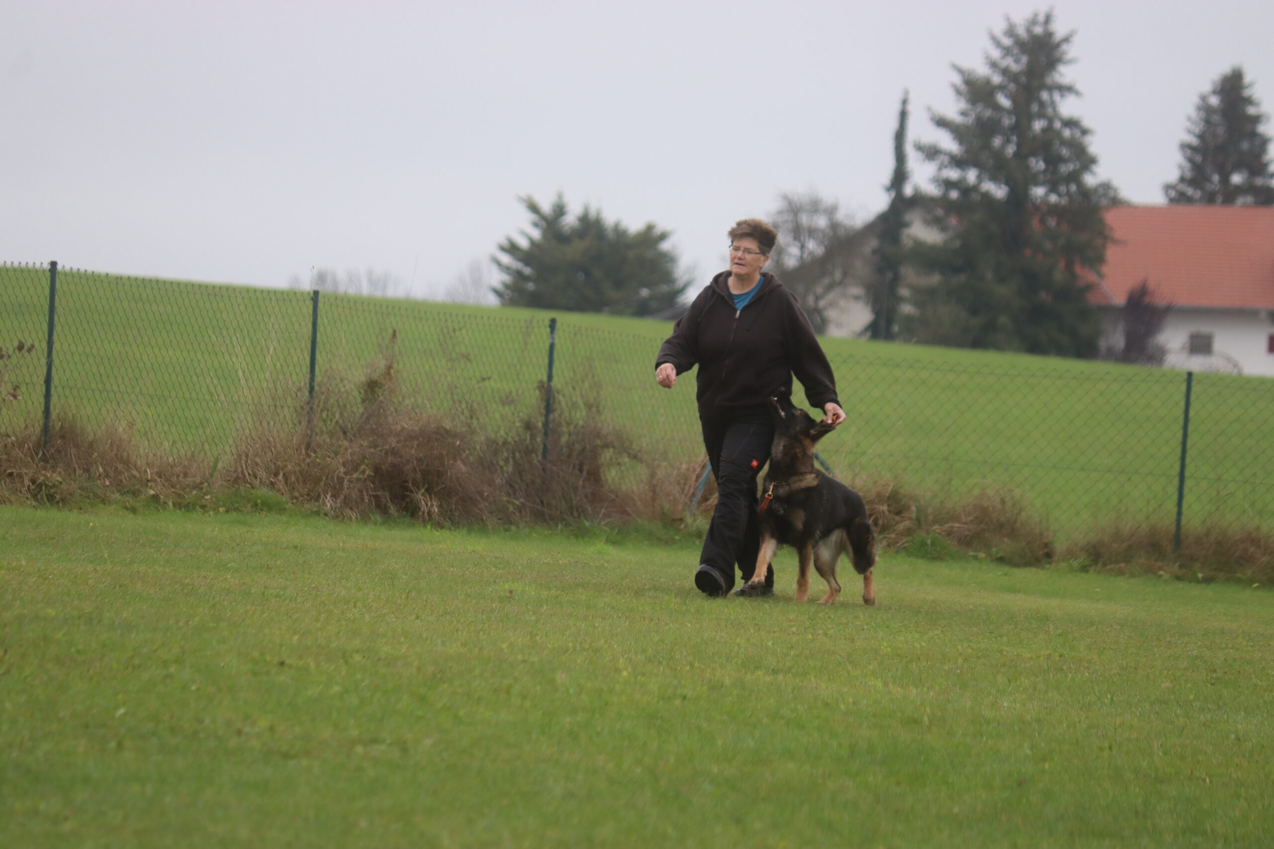 Herbstprüfung BH/VT Alex mit Nevada