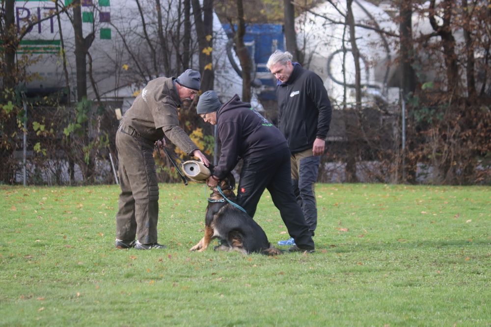 Talentsichtung von Nevada