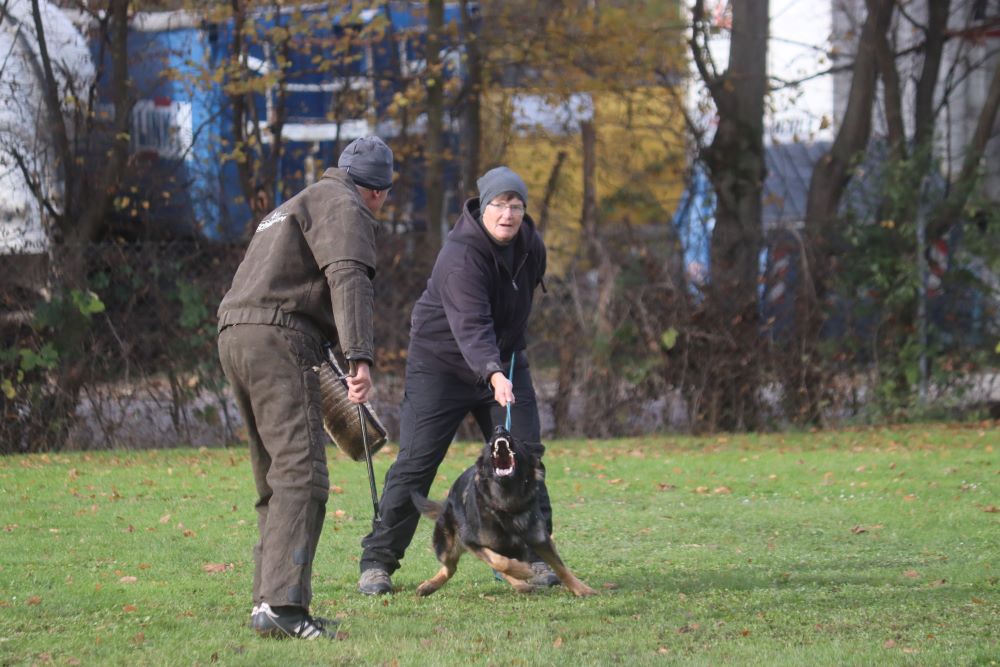 Talentsichtung von Nevada