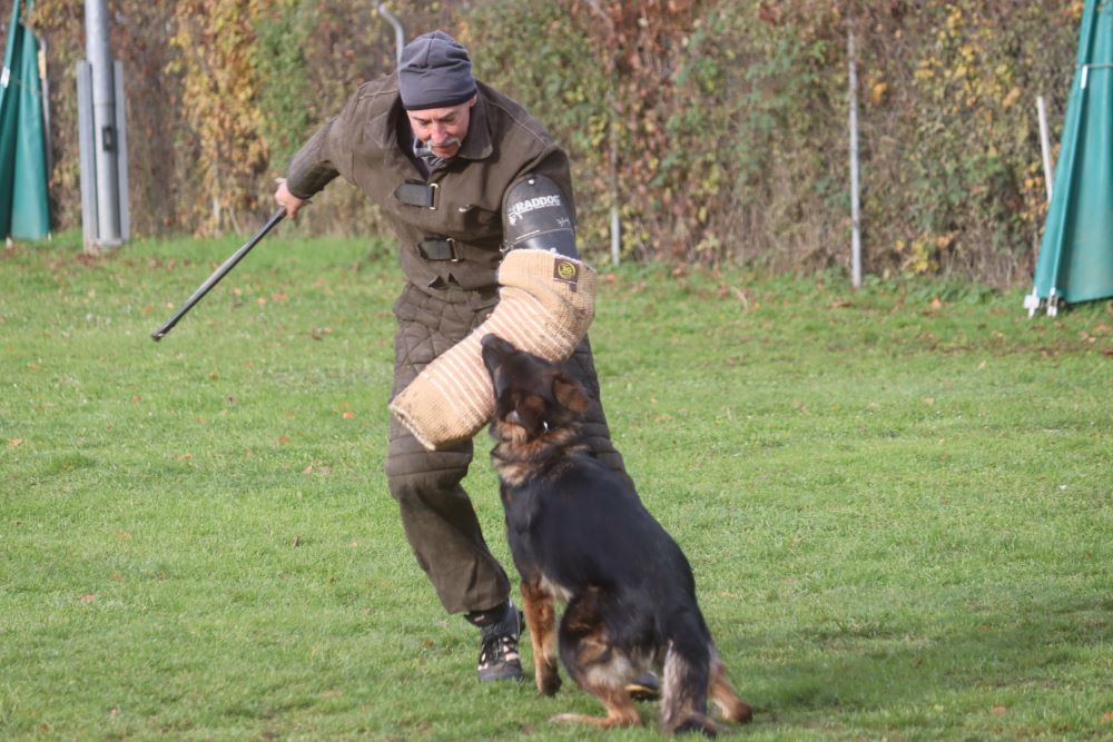 Talentsichtung von Nevada