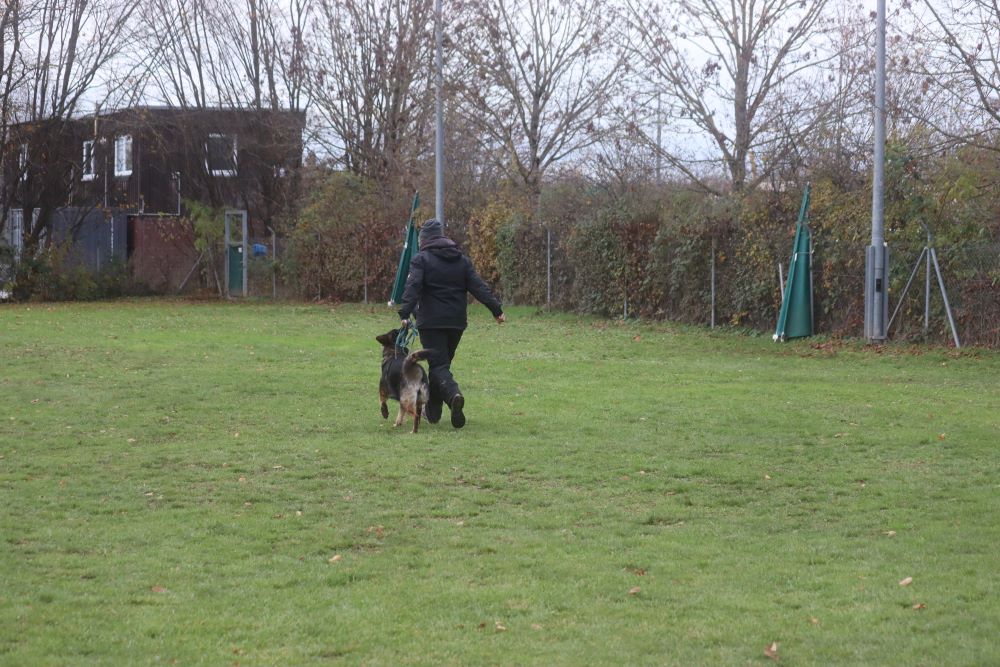 Talentsichtung von Nevada