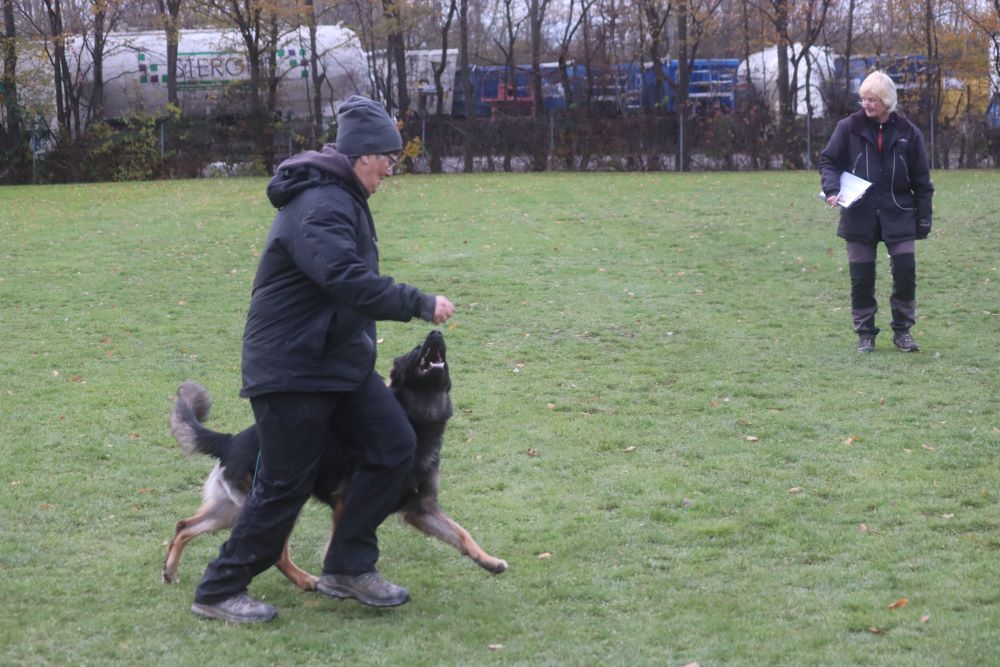 Talentsichtung von Nevada